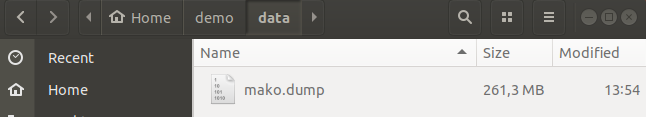 Screenshot with mako.dump file location.
