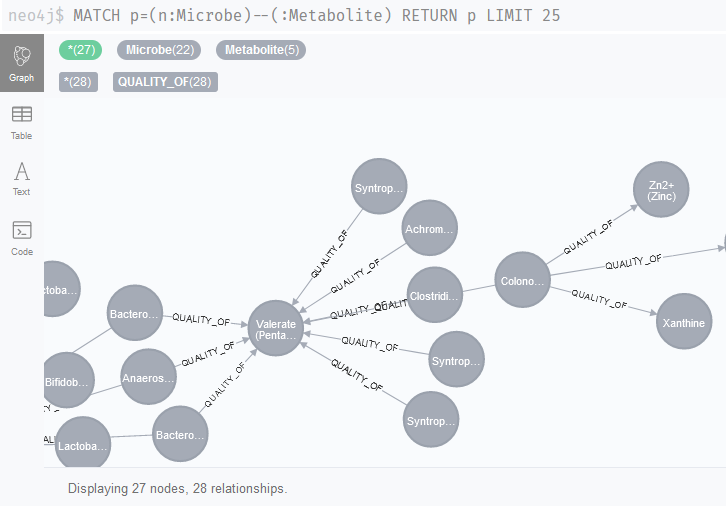 Screenshot of Neo4j Browser showing Sung et al. literature network.