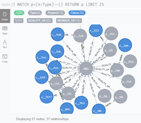 Screenshot of Neo4j Browser showing Cypher query outcome with Type nodes.